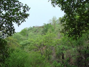 DSC00895