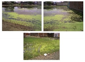 Kodaria Sewage Drains